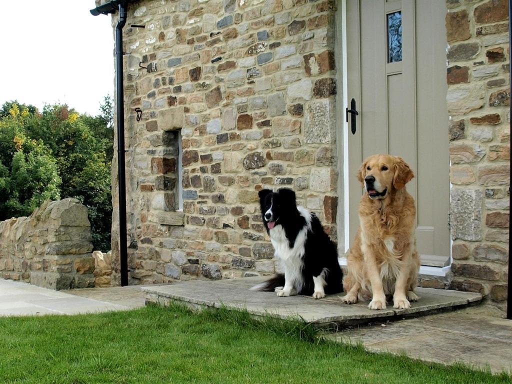 Plum Tree Cottage Witton le Wear Quarto foto